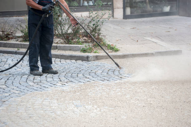 Animal Enclosure Cleaning in Olton, TX